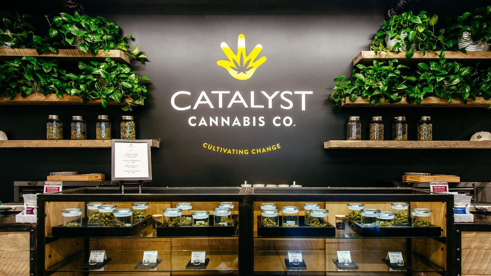 Catalyst Cannabis Company