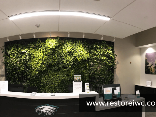 Restore Integrative Wellness Center