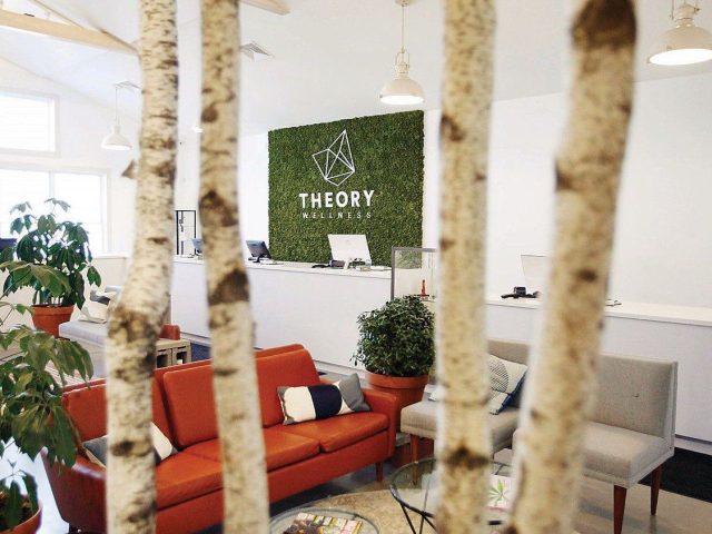 Theory Wellness