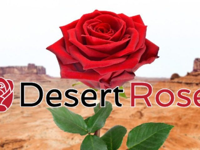 Desert Rose