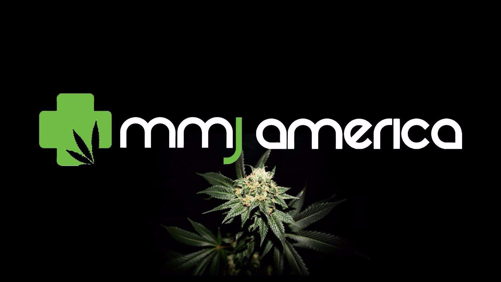 MMJ America