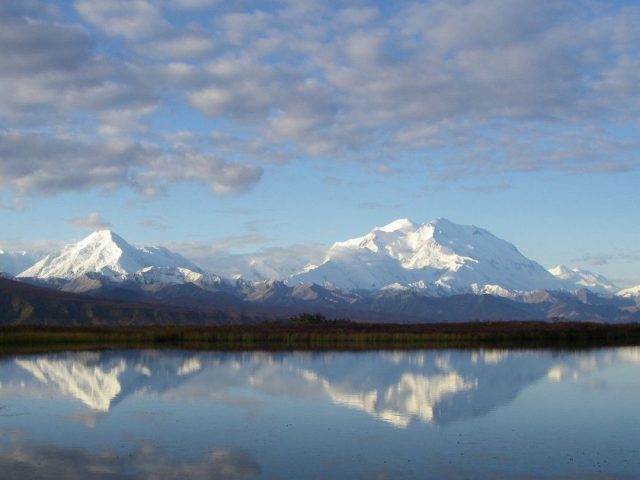 Denali's Cannabis Cache