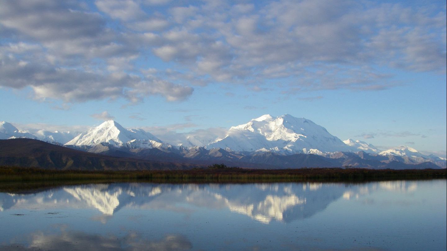 Denali's Cannabis Cache