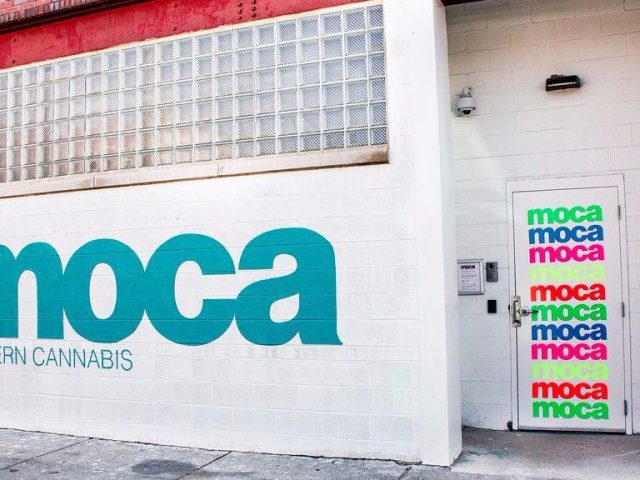 MOCA-Modern Cannabis