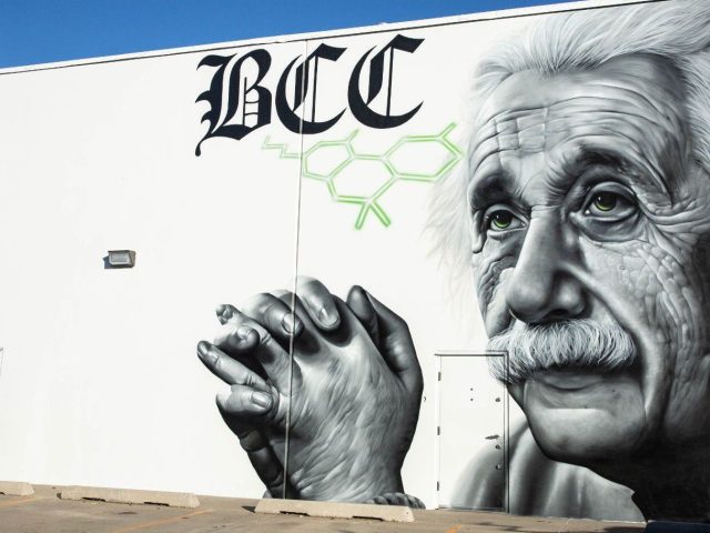 BCC Collective