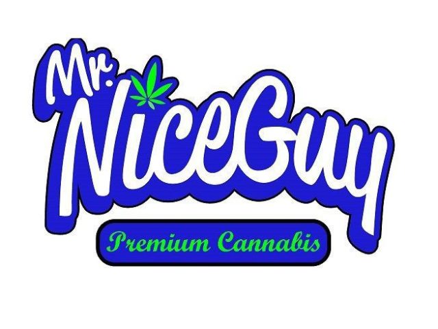 Mr. Nice Guy