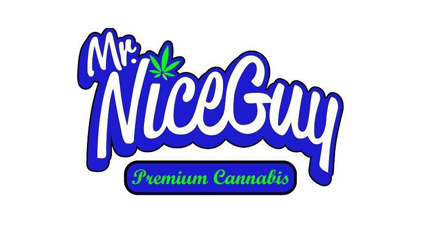 Mr. Nice Guy