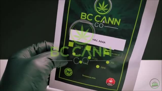 SIX NEW CANNABIS STRAIN REVIEWS ! THC REVIEWS 4 U - BC CANN CO REVIEWS