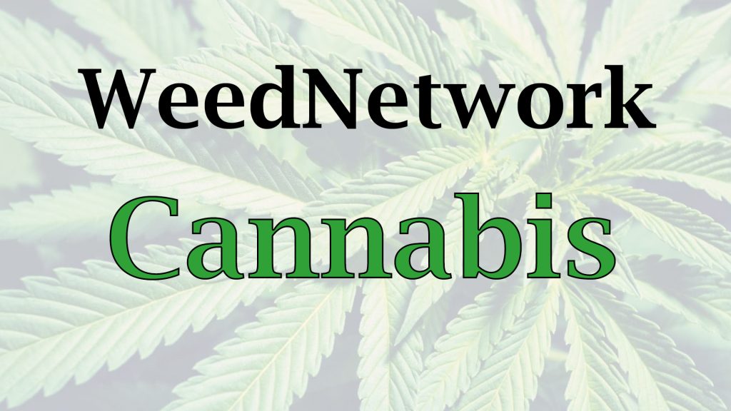 weednetwork-cannabis