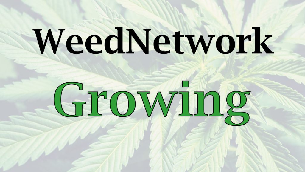 weednetwork-gowing