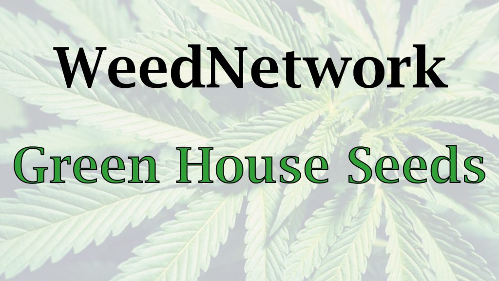 weednetwork-greenhouse