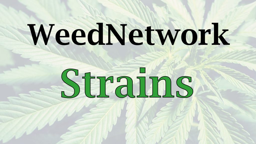 weednetwork-strains